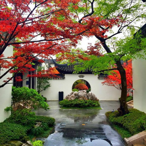 花園園林設計和施工可以讓裝修公司一起做嗎