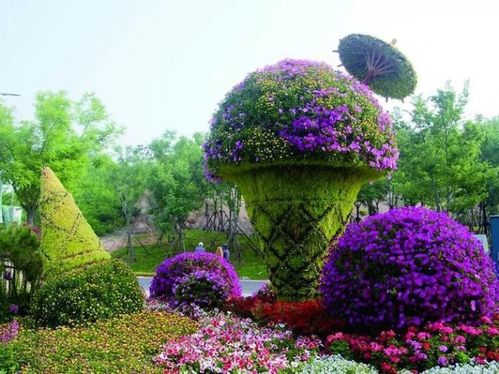 【景區(qū)專用的植物雕塑,園林植物綠雕設計】- 