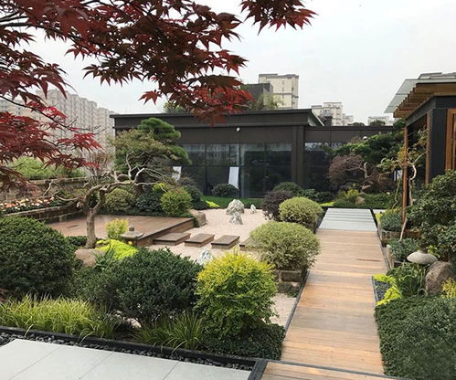 山東大道園林商家推薦 林地與濕地規劃設計哪家好