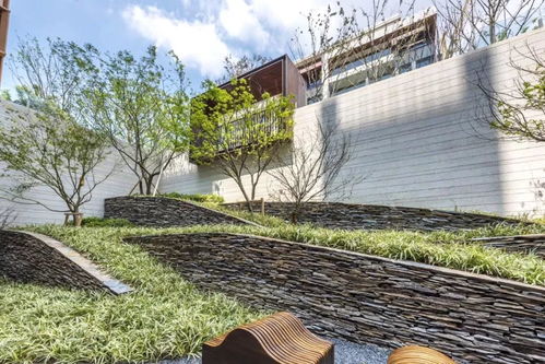 上海精品樓盤考察 中海 東原 融創 萬科 泰禾 建發