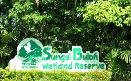 濕地公園如何規劃 新加坡雙溪布洛濕地公園規劃設計案例詳解